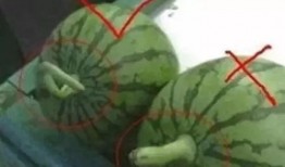 被吃瓜的网红有哪些名字,盘点那些被吃瓜群众热议的明星面孔